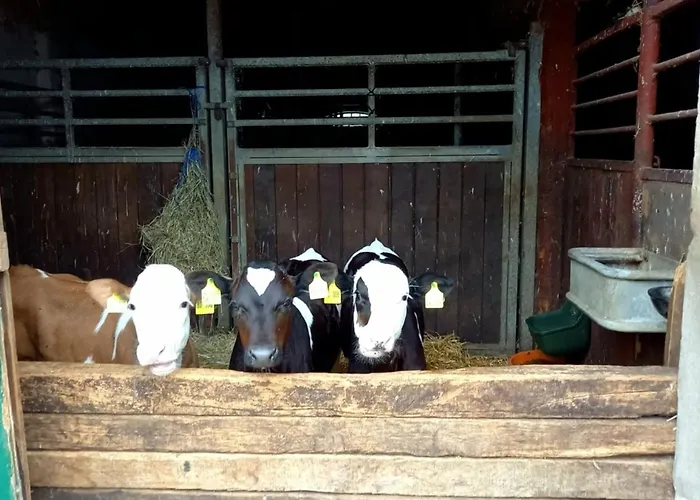 Appartement Pappelhof - Whg 3 *